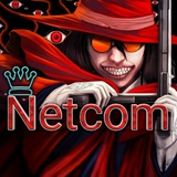 netcom_vpn | Unsorted