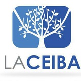 laceiba | Unsorted