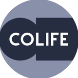 colifehomes | Unsorted