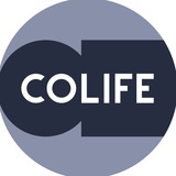 colifehomes | Неотсортированное