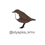 olyapka_kmv | Unsorted