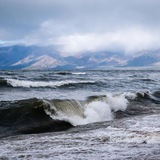 life_baikal | Unsorted