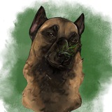 malinoisshanifb | Unsorted