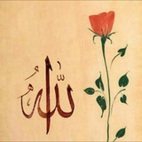 h_ameer1 | Unsorted