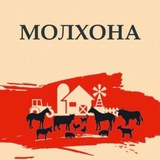 molxonauzb | Неотсортированное