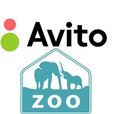 avitozoo | Unsorted