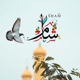 sham0b | Unsorted