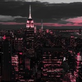 seining_star | Unsorted