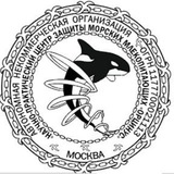npczmm_orcinus | Неотсортированное