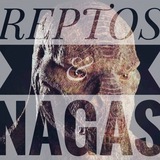 reptosnagas | Unsorted