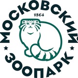 moscowzoo_official | Неотсортированное