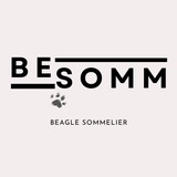 beaglesomm | Unsorted