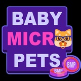 babymicropetsbsc | Unsorted