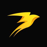 storm_trade_news | Неотсортированное