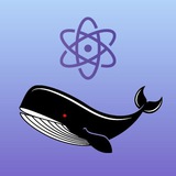 protonwhalesalert | Unsorted