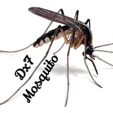 dx7mosquito | Unsorted