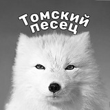 pesets_tomsk | Unsorted