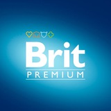 brit_premium | Неотсортированное