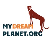 mydreamplanet_rus | Unsorted