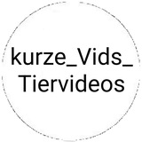 kurze_vids_tiervideos | Unsorted