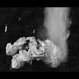 ozmojoy | Unsorted