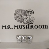 mr_mushroomkrd | Unsorted