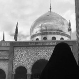 zainab_alfayaad | Unsorted