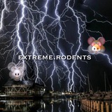 extremerodents | Unsorted