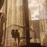 haneen6_ah200 | Unsorted