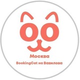 bookingcat | Unsorted