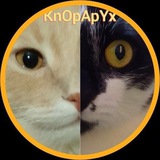 knopapyx | Unsorted