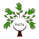 helfa_projekt | Unsorted