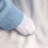 h2avl | Unsorted