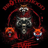 twfbrootherhood | Unsorted