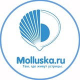 molluska | Unsorted