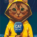 cat_news_war | Unsorted