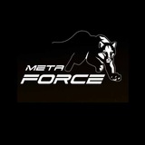 mgmetaforce | Unsorted