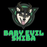 babyevilshiba | Unsorted