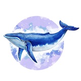 twitterwhales | Unsorted