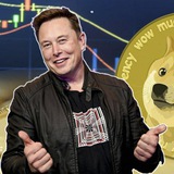 crypto_musk1 | Криптовалюты