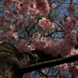 the_bestphotographer | Unsorted