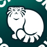 rare_animals_zoo | Unsorted