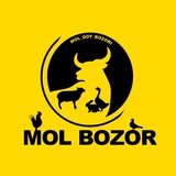 mol_qoy_bozori | Unsorted