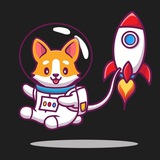 stormcorgicoin | Cryptocurrency