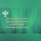 dmur_vladivostok | Unsorted