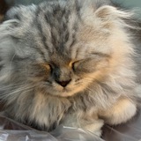 giveawayzonee | Unsorted