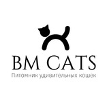 bm_cats | Unsorted