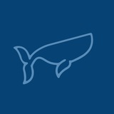 timeblueeconomy | Unsorted