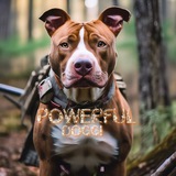 powerfuldoggi | Unsorted