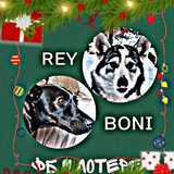 reyandbonytoppp | Unsorted